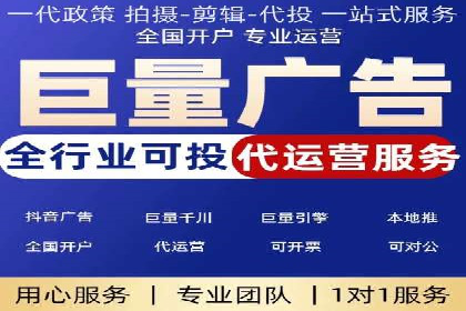 竞价托管服务对比：不同平台的优劣分析